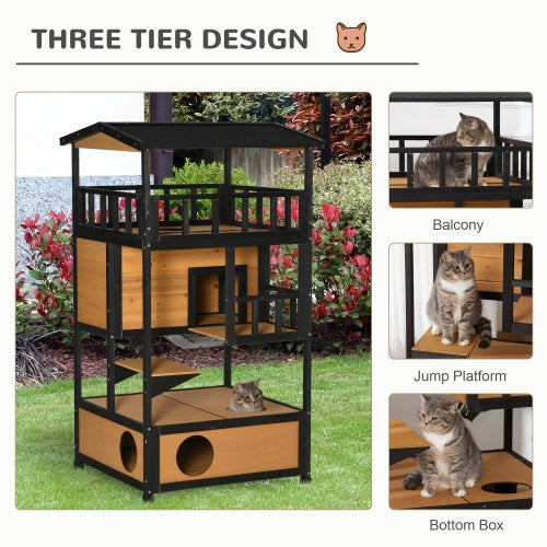 Cats using the balcony, jump platform, and bottom box of the outdoor cat house